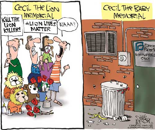 jpg Political Cartoons: Cecil vs Baby 