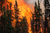 Large wildfires a factor in climate equation