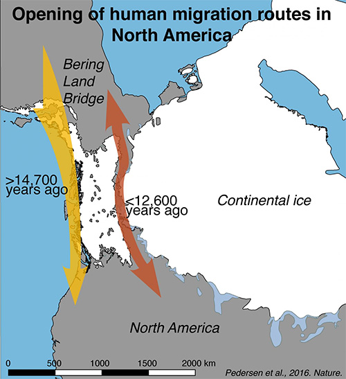 jpg Textbook story of how humans populated America is 'biologically unviable,' study finds 