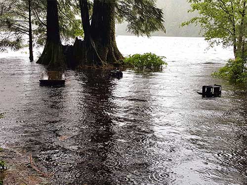 jpg Ketchikan District Ranger closes campground in Ward Lake Recreation Area due to flooding