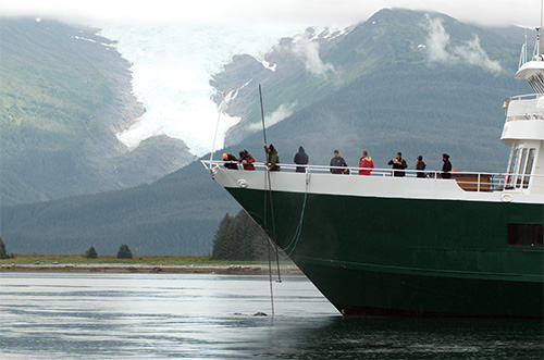 jpg NOAA-trained team hopeful strategic cut freed entangled humpback near Tracy Arm 