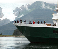 NOAA-trained team hopeful strategic cut freed entangled humpback near Tracy Arm