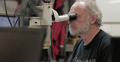 jpg Russ Hopcroft identifies copepods through a microscope on the NGA LTER cruise