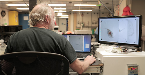 jpg Russ Hopcroft looks closer at a photo of a copepod that he took through his microscope.