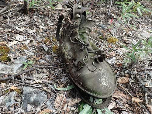 jpg An old boot at the townsite of Franklin, Alaska, which was alive with people from 1887 to 1948.