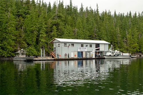 jpg Hump Island Oyster farm