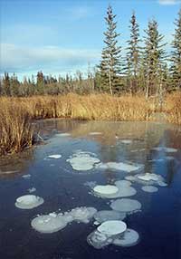‘Abrupt thaw’ of permafrost beneath lakes could significantly affect climate change models 