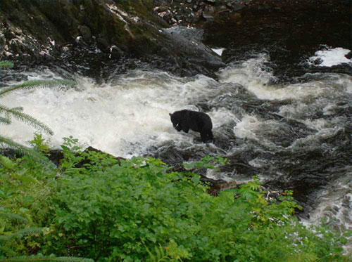 jpg Margaret Creek Watershed Restoration, Enhancement Project decision signed 