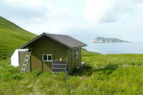 jpg This cabin on Chowiet Island, south of the Alaska Peninsula, is the summer home for two biologists who were the closest humans to a recent magnitude 8.2 earthquake