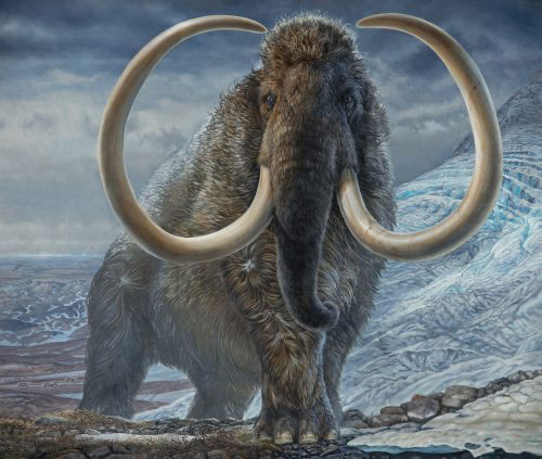 jpg An adult male woolly mammoth navigates a mountain pass in Arctic Alaska 17,100 years ago. 