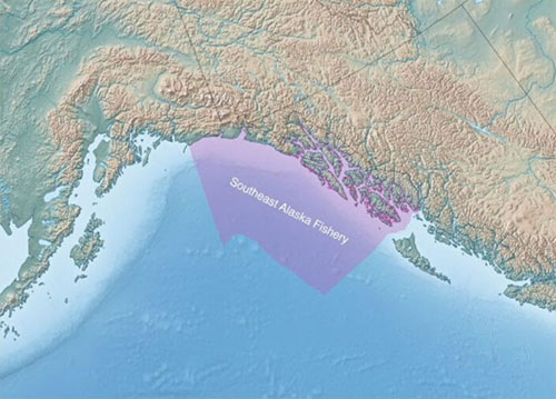 jpg The purple region shows the Southeast Alaska Chinook troll fishery. 