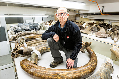  Museum of North launches Adopt a Mammoth program 