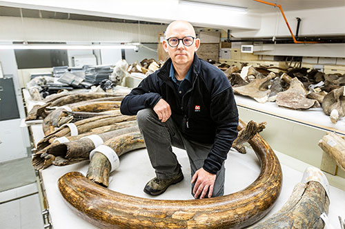 jpg Museum of North launches Adopt a Mammoth program 