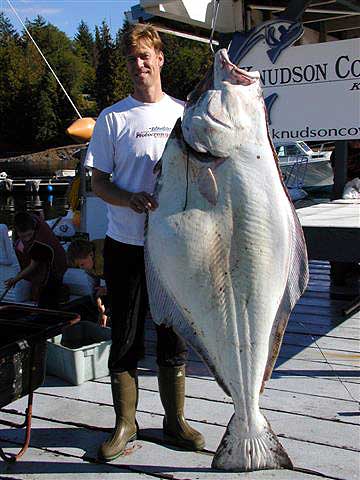 jpg Howard McKim 183 pound halibut