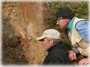 Digging for clues on the Denali Fault