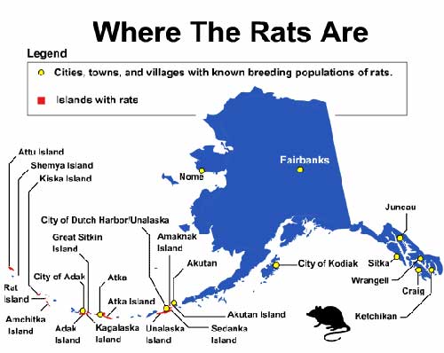 jpg where the rats are map