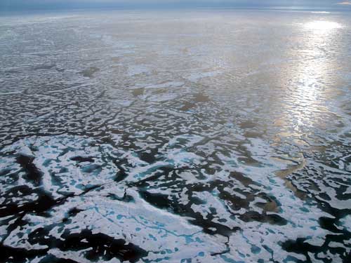 jpg sea ice north of Alaska