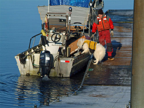 Henry Williamson of Craig won the People's Choice award for his photograph  "Come On, Let's Go to Work."