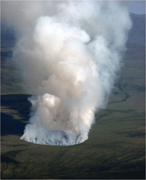 Recovery after world's largest tundra fire raises questions 