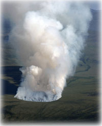 Recovery after world's largest tundra fire raises questions 