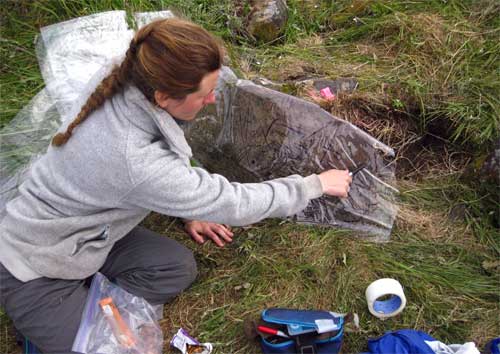 jpg UA Museum of the North fine arts collection manager Mareca Guthrie makes a tracing of the petroglyph-adorned boulder that marks one of the prehistoric house pit at Feniak Lake.