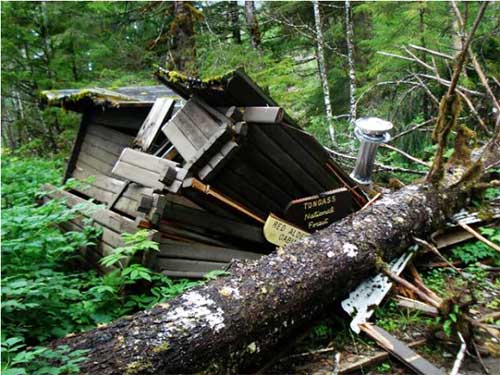 jpg The Red Alders Cabin, near Ketchikan, was crushed by a tree 
in 2012. This cabin will be removed.