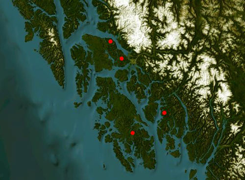 jpg Court Decision Stops Four Tongass National Forest Logging Projects 