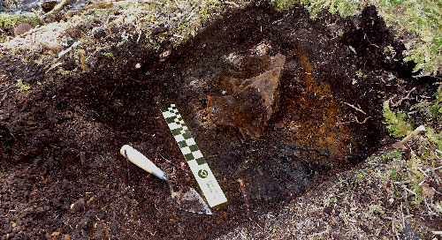 jpg A test excavation in 2012 found two caches of Russian axes