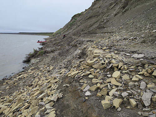 jpg Paleontologist searches for dinosaur bones. The Liscomb Bone Bed crops out for over 200 feet along the base of this bluff. 