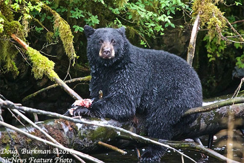 Front Page Feature Photo By DOUG BURKMAN