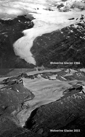 jpg Repeat oblique photographs of Wolverine glacier in Alaska. 1966 image  and 2015 image 