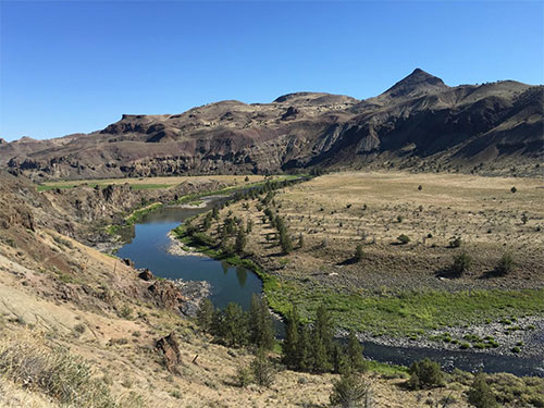 jpg Researchers say climate change challenges the survival of fish across the world