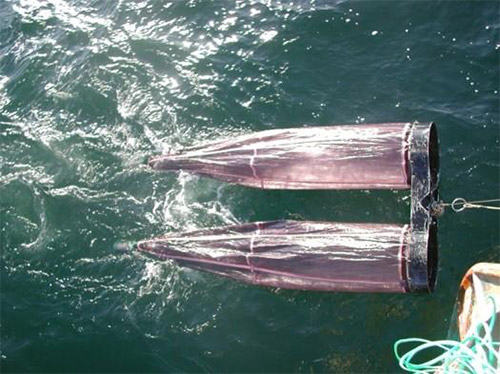 jpg Researchers tow nets through the water to collect plankton, including fish larvae.
Photo By Toby Auth/PSFMC