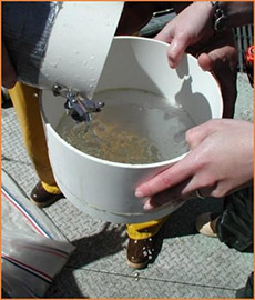 jpg Scientists examine plankton, including fish larvae, collected off the Oregon coast.
Photo By Toby Auth/PSFMC