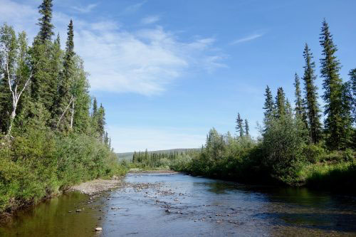 jpg Prospect Creek in northern Alaska, shown here on a recent 80-degree summer day, has the record for Alaska’s coldest temperature of minus 80 degrees Fahrenheit, on Jan. 23, 1971.