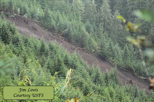 jpg Brown Mountain Road landslide