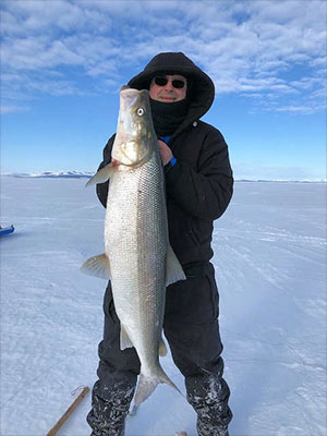 jpg Study finds safe mercury levels in Kotzebue Sound fish 