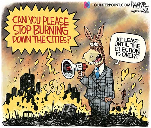 jpg Political Cartoon: Burning Cities