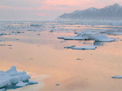 UAF scientists lead Arctic section of State of the Climate report 