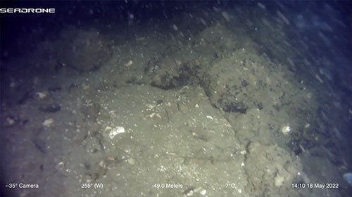 Scientists Discover Ancient Underwater Fish Weir In Southeast Alaska