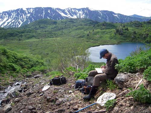 jpg Derek Sikes, curator of insects at the University of Alaska Museum of the North, on a summer 2011 trip to the Kenai National Wildlife Refuge.