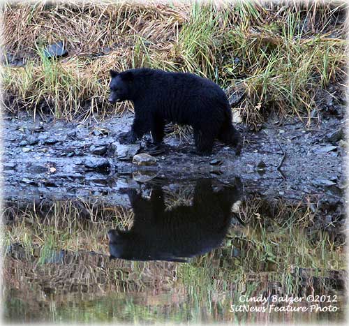 Front Page Photograph by CINDY BALZER