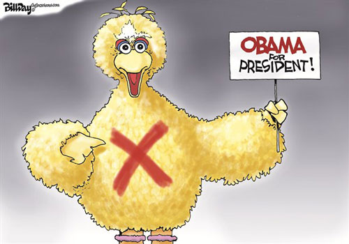 jpg Big Bird Gets Politica