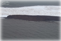 Aerial surveys of arctic marine mammals photograph walrus haulout site; Scientists call behavior a new phenomenon