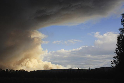 jpg Wildfire hits close to home for scientist