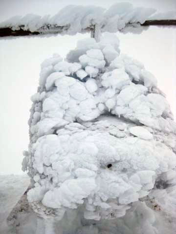 jpg Ice buildup on a Jet Ranger helicopter 