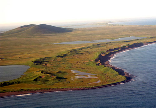 jpg The mammoth mystery of St. Paul Island