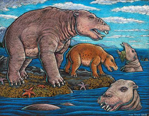 jpg Just as cattle assemble in a herd, and a group of fish is a school, multiple desmostylians constitute a “troll” — a designation selected to honor Alaskan Ray Troll, the artist who has most often depicted desmos. 