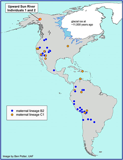 jgp This map shows the location of the Upward Sun River site in Alaska where the remains of two infants, Upward Sun River individuals 1 and 2, were found in an 11,500-year-old burial. 