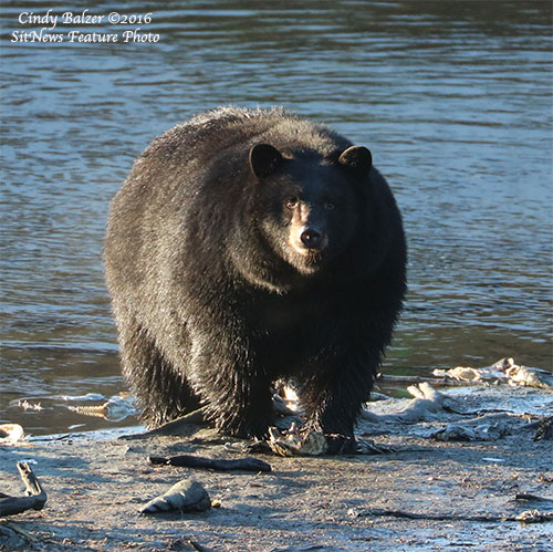 Front Page Feature Photo By CINDY BALZER